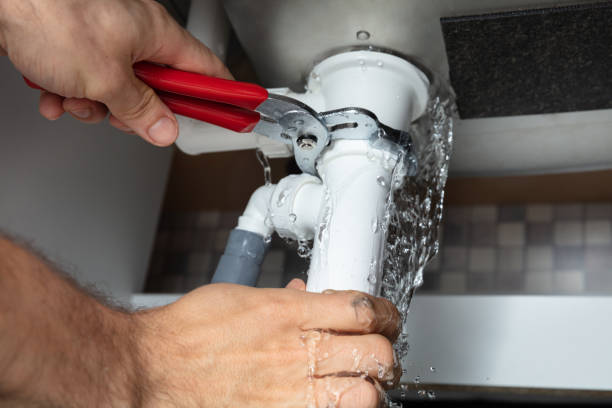 Best Ceiling water damage repair  in Wonder Lake, IL