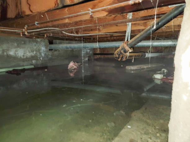 Best Water damage restoration near me  in Wonder Lake, IL