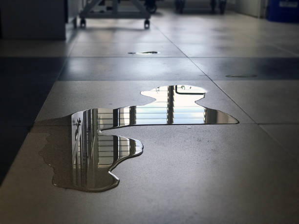 Professional Water damage restoration in Wonder Lake, IL